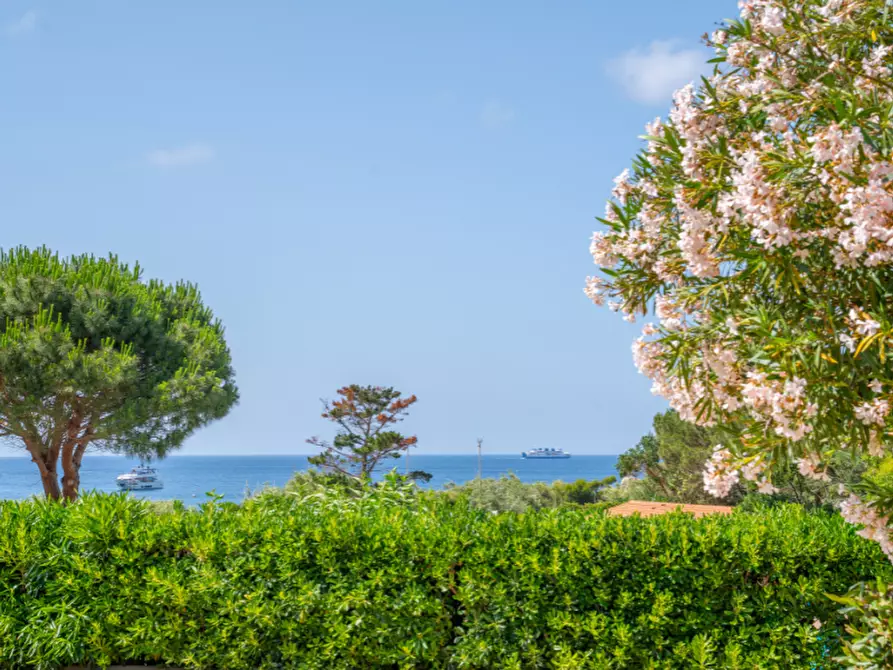 Immagine 5 di Appartamento in vendita  a Rio Nell'elba