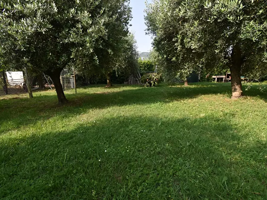 Immagine 55 di Villa in vendita  a San Giuliano Terme