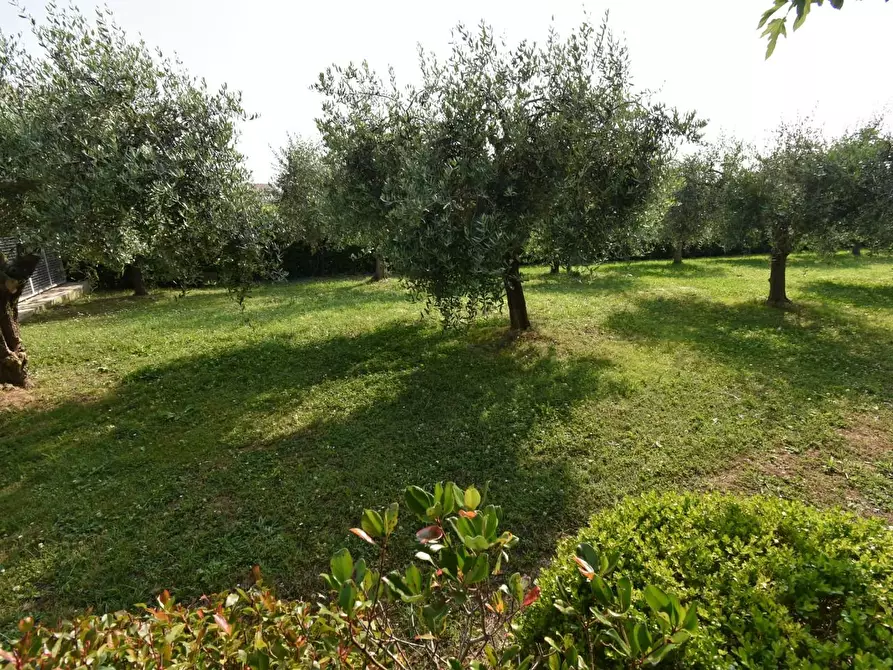 Immagine 49 di Villa in vendita  a San Giuliano Terme