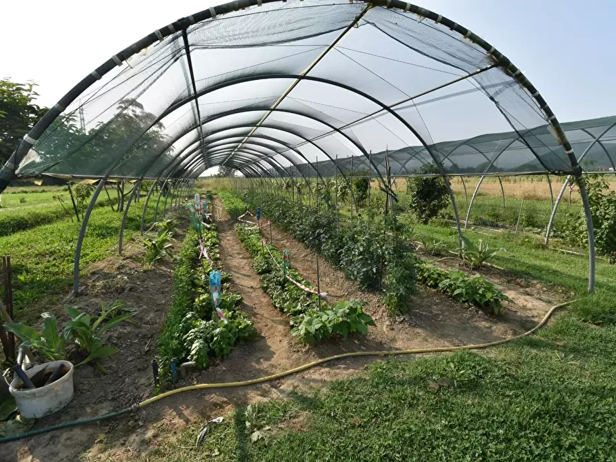 Immagine 61 di Villa in vendita  a San Giuliano Terme