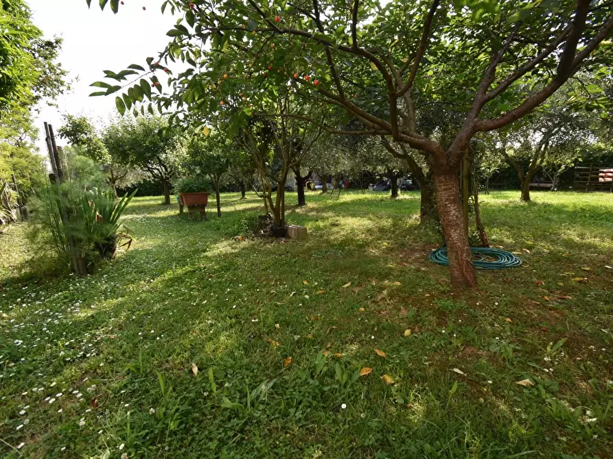 Immagine 53 di Villa in vendita  a San Giuliano Terme