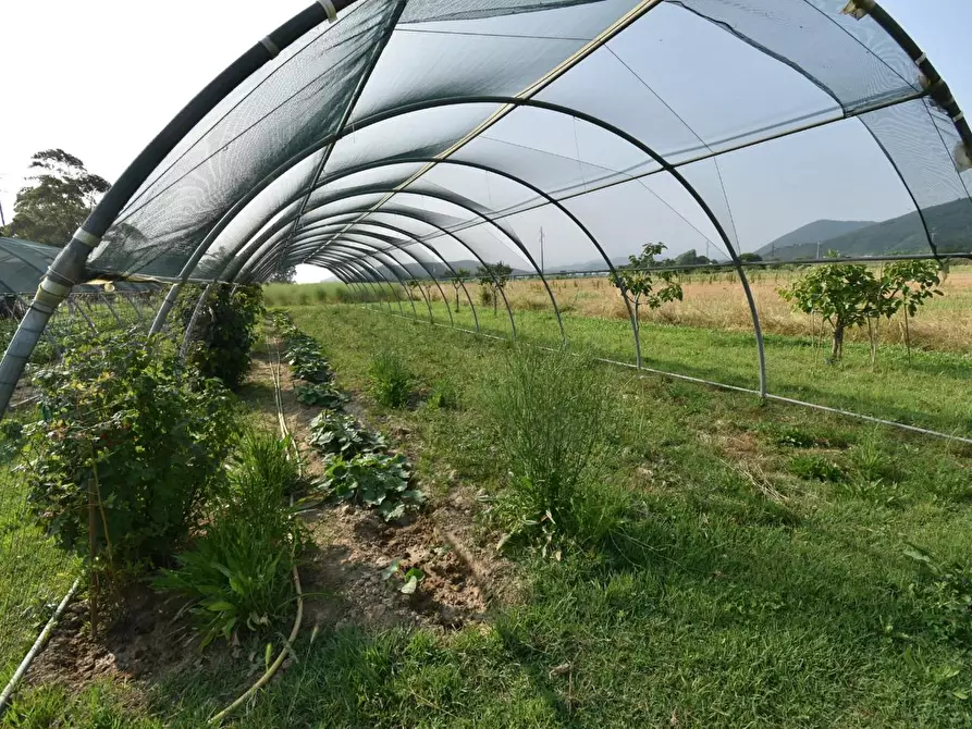 Immagine 62 di Villa in vendita  a San Giuliano Terme