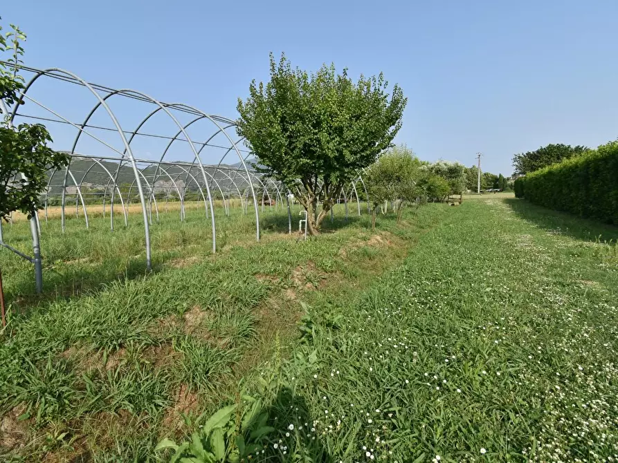 Immagine 59 di Villa in vendita  a San Giuliano Terme