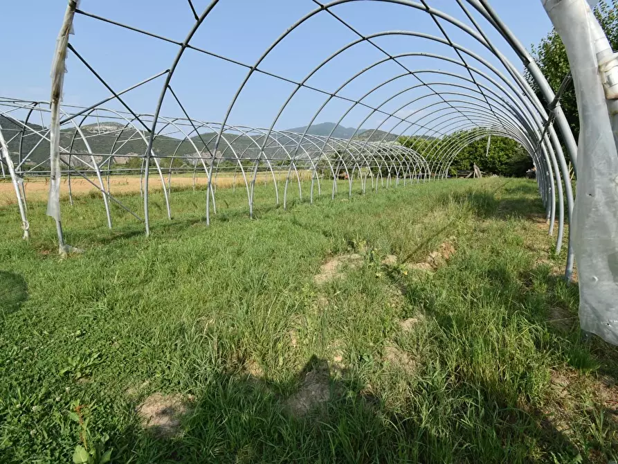 Immagine 60 di Villa in vendita  a San Giuliano Terme