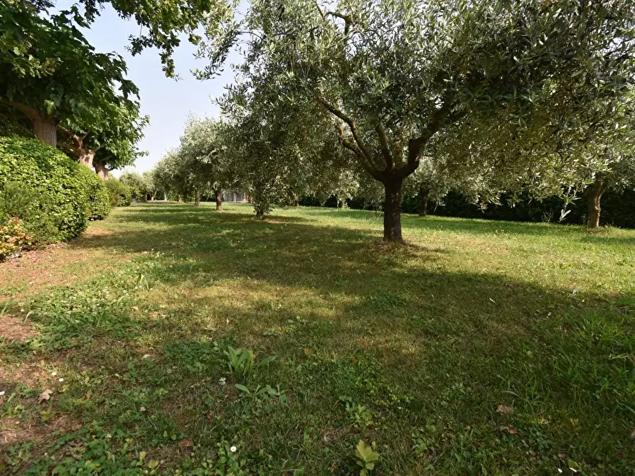 Immagine 52 di Villa in vendita  a San Giuliano Terme