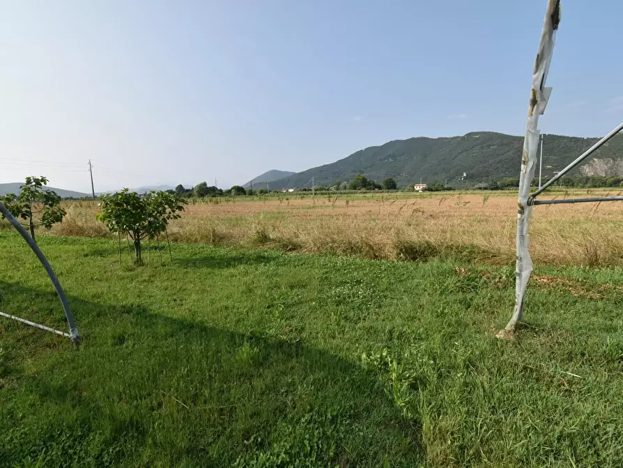 Immagine 64 di Villa in vendita  a San Giuliano Terme