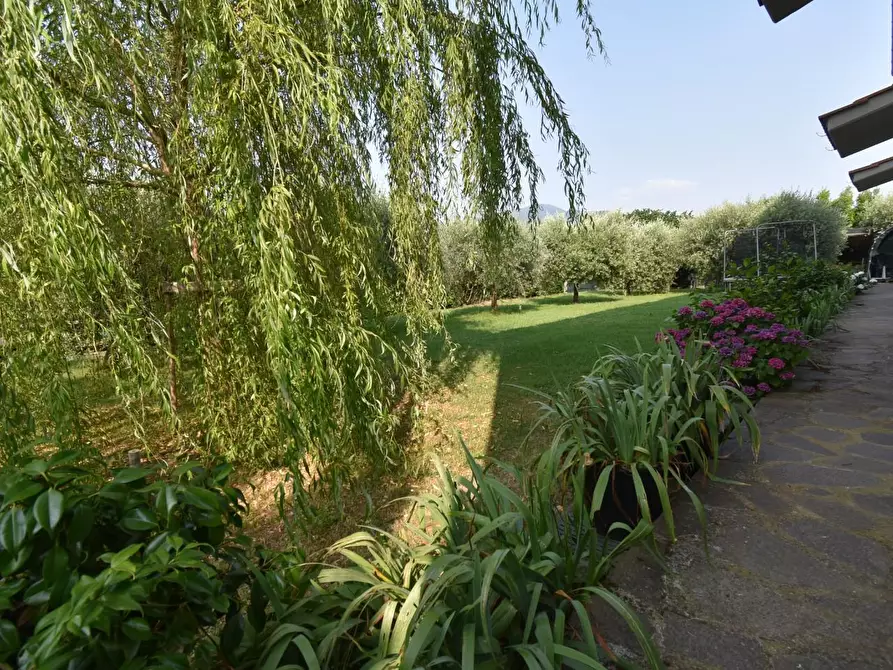 Immagine 56 di Villa in vendita  a San Giuliano Terme