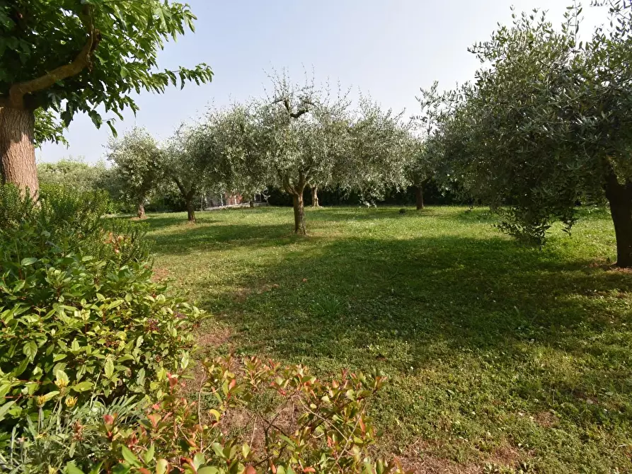 Immagine 50 di Villa in vendita  a San Giuliano Terme