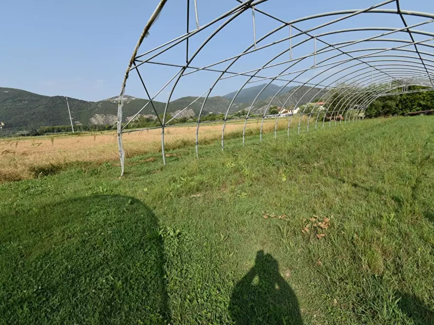 Immagine 63 di Villa in vendita  a San Giuliano Terme