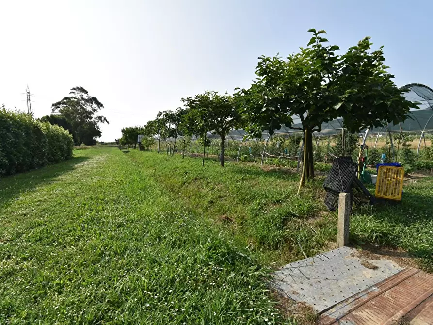 Immagine 58 di Villa in vendita  a San Giuliano Terme