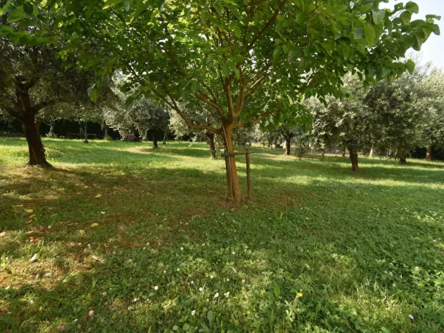 Immagine 54 di Villa in vendita  a San Giuliano Terme