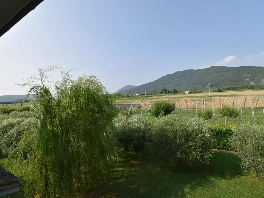 Immagine 30 di Villa in vendita  a San Giuliano Terme