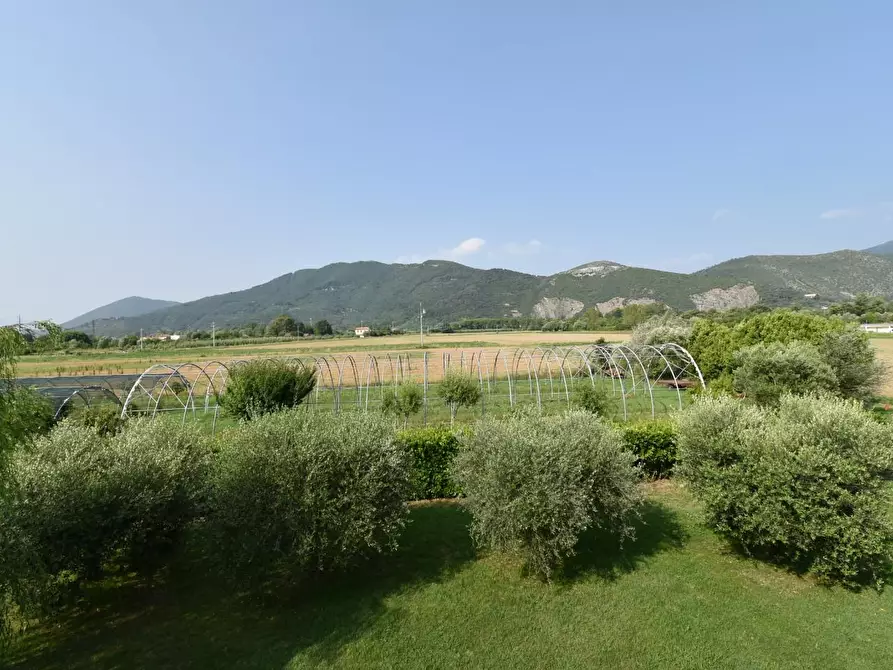 Immagine 29 di Villa in vendita  a San Giuliano Terme