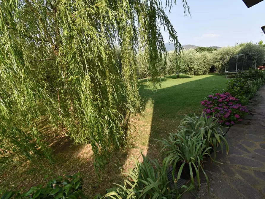 Immagine 57 di Villa in vendita  a San Giuliano Terme