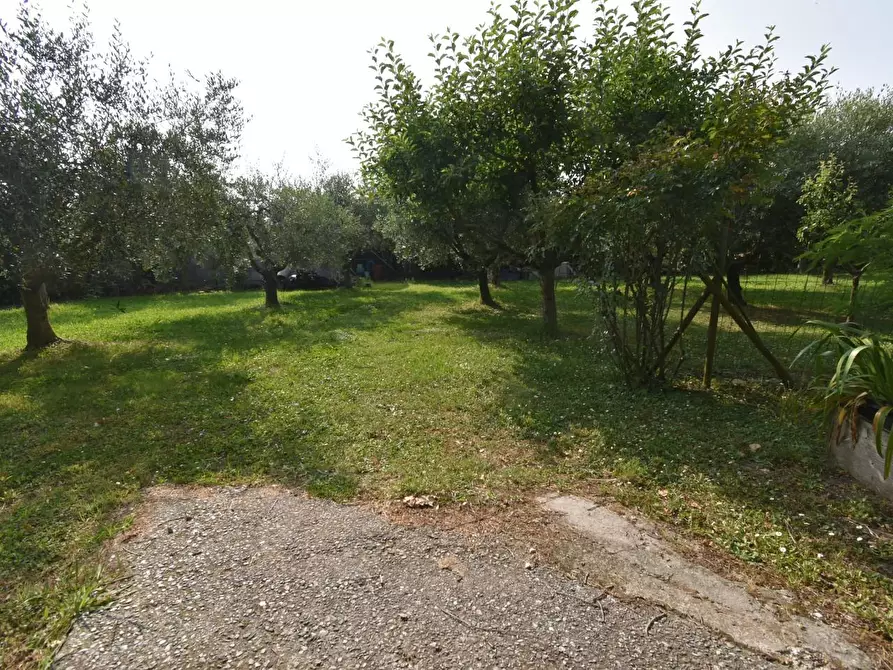Immagine 51 di Villa in vendita  a San Giuliano Terme