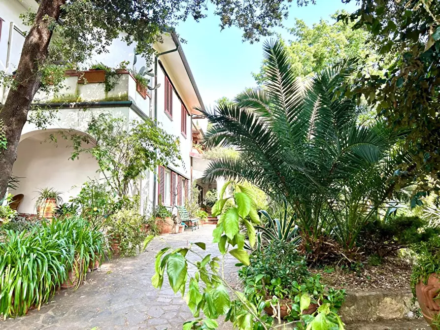 Immagine 50 di Porzione di casa in vendita  a Vicopisano