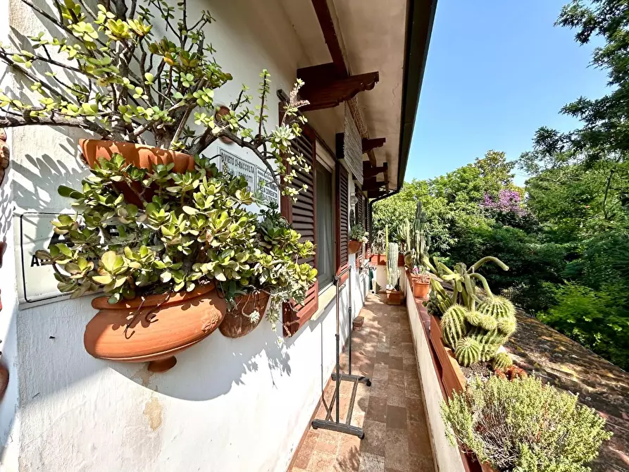 Immagine 51 di Porzione di casa in vendita  a Vicopisano