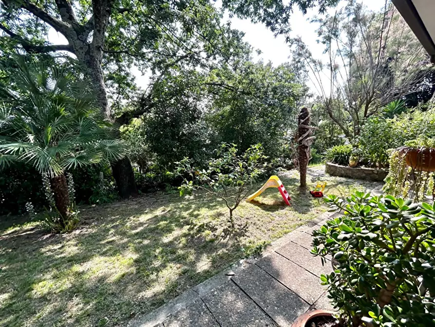 Immagine 34 di Porzione di casa in vendita  a Vicopisano