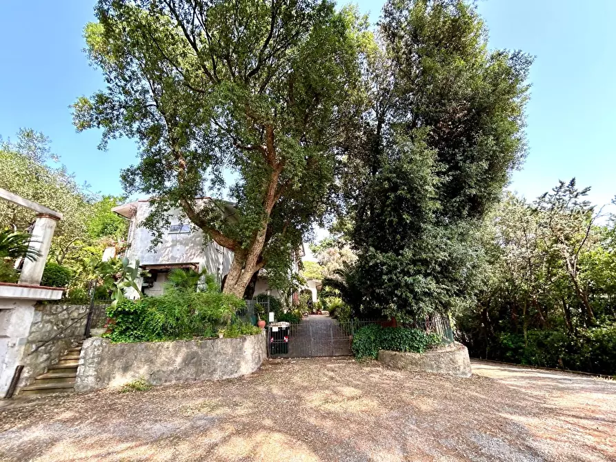 Immagine 47 di Porzione di casa in vendita  a Vicopisano