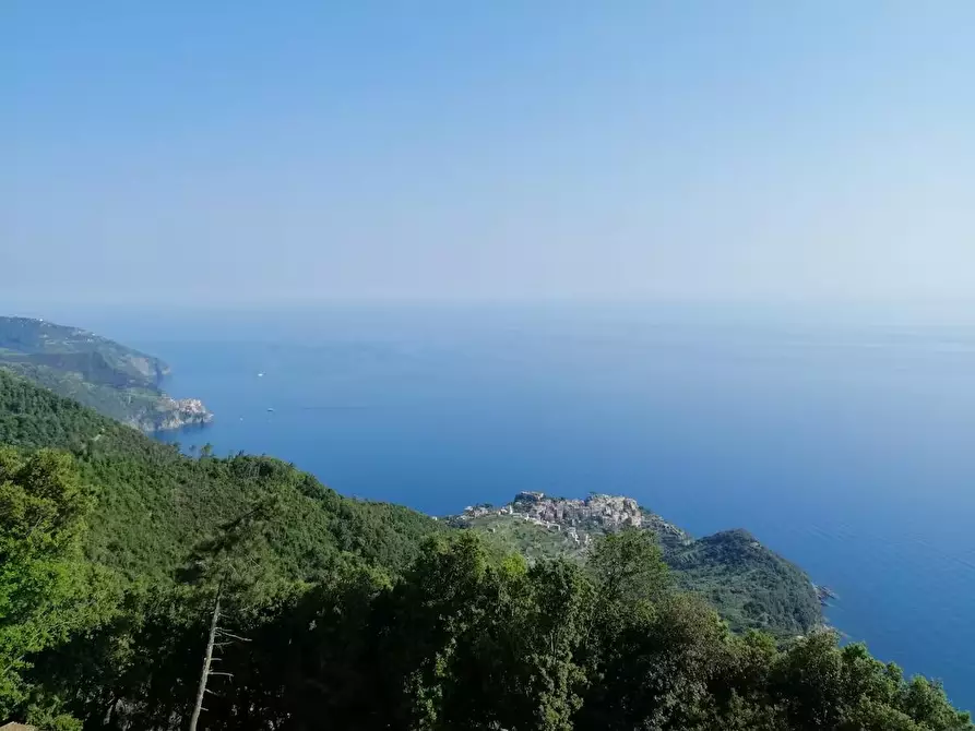Immagine 1 di Casa semindipendente in vendita  a Vernazza