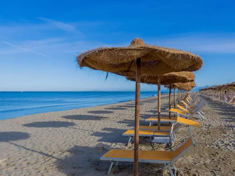 Immagine 13 di Appartamento in vendita  a Pisa