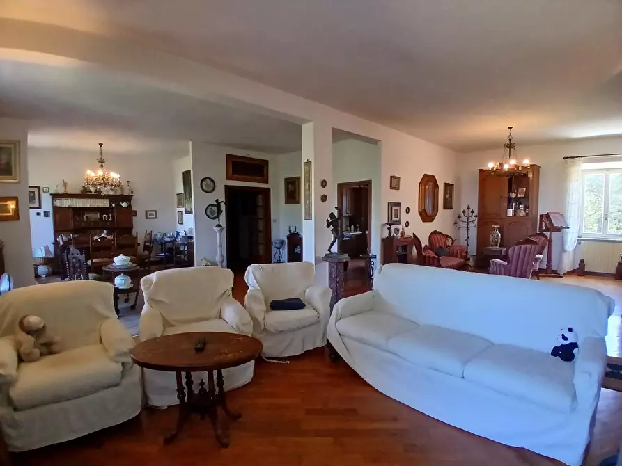 Immagine 6 di Mansarda in vendita  a Livorno