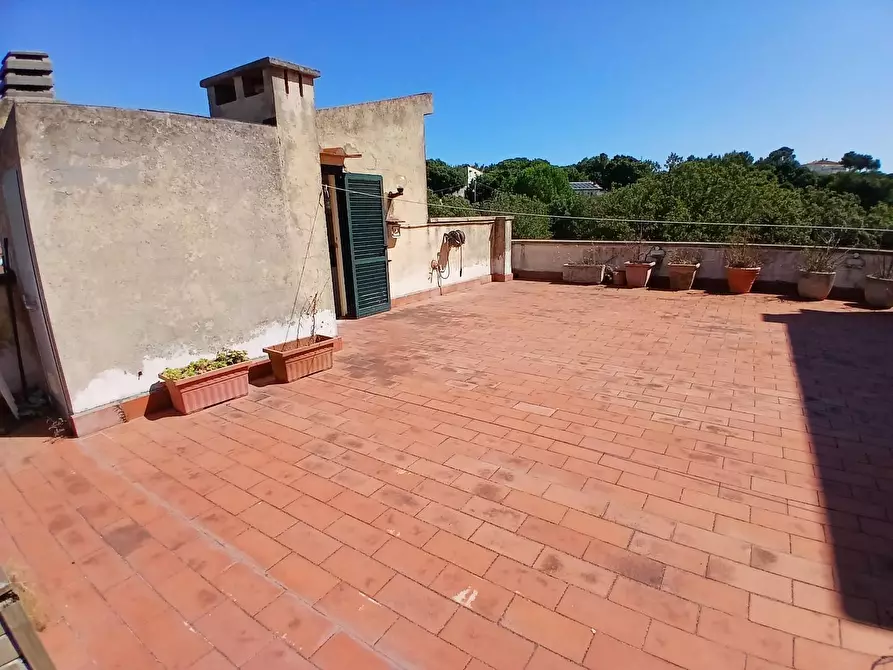 Immagine 36 di Mansarda in vendita  a Livorno