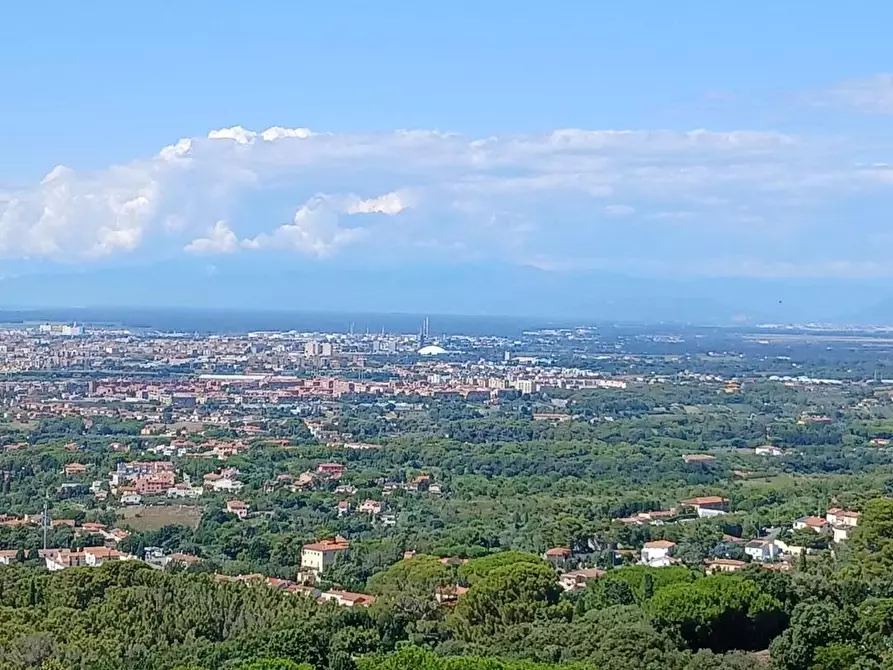 Immagine 31 di Mansarda in vendita  a Livorno