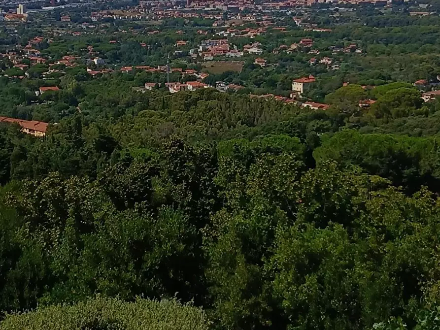 Immagine 32 di Mansarda in vendita  a Livorno