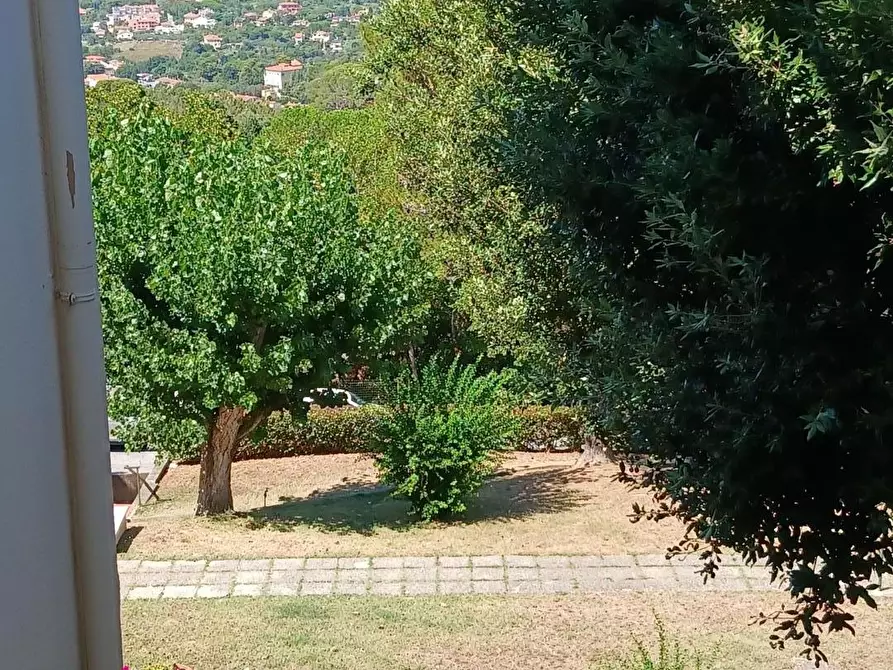 Immagine 29 di Mansarda in vendita  a Livorno