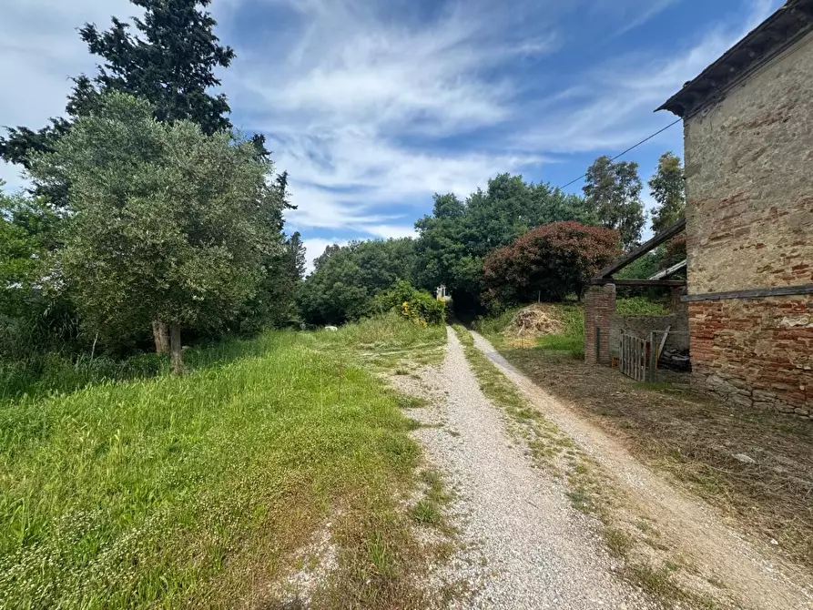 Immagine 27 di Rustico / casale in vendita  a Fauglia