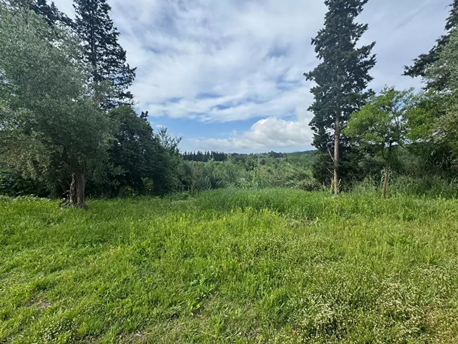 Immagine 29 di Rustico / casale in vendita  a Fauglia