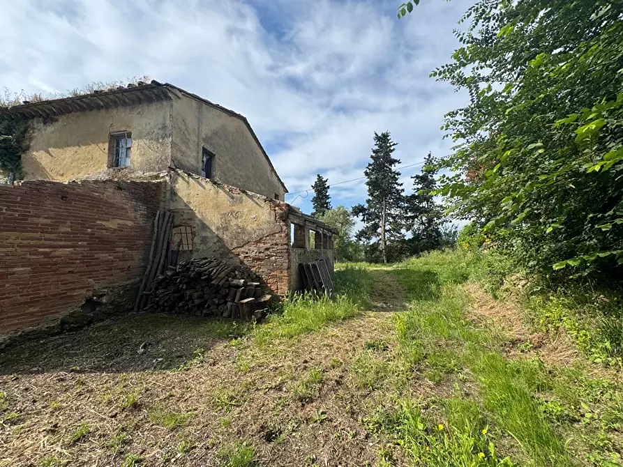 Immagine 12 di Rustico / casale in vendita  a Fauglia