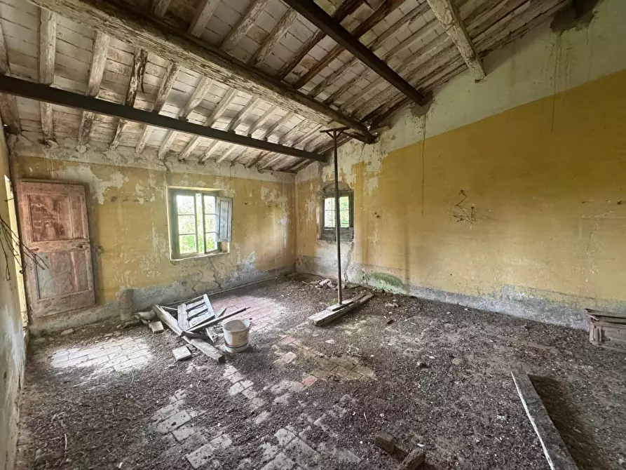 Immagine 21 di Rustico / casale in vendita  a Fauglia