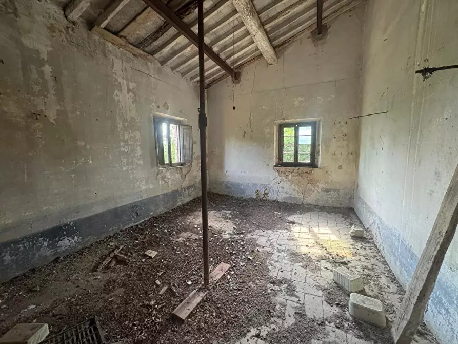 Immagine 14 di Rustico / casale in vendita  a Fauglia