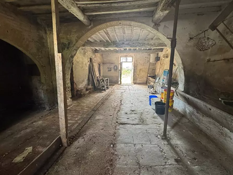 Immagine 23 di Rustico / casale in vendita  a Fauglia
