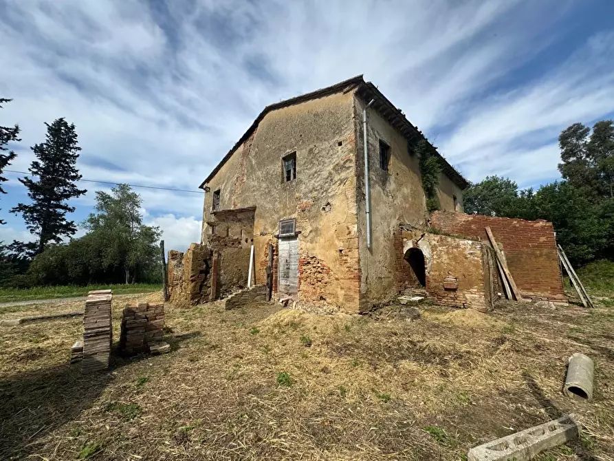 Immagine 5 di Rustico / casale in vendita  a Fauglia