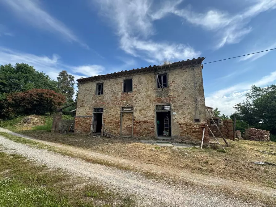 Immagine 11 di Rustico / casale in vendita  a Fauglia