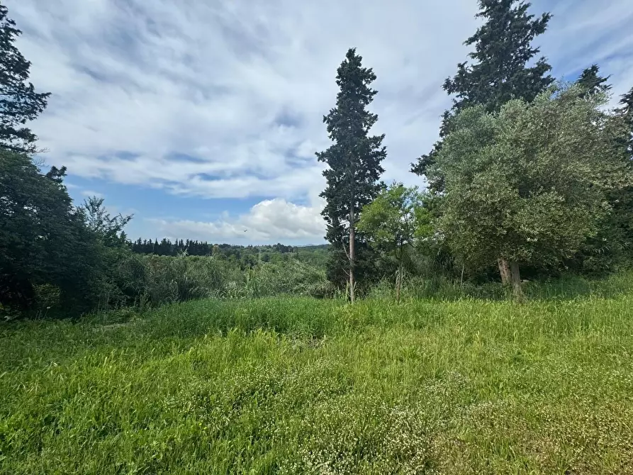 Immagine 28 di Rustico / casale in vendita  a Fauglia