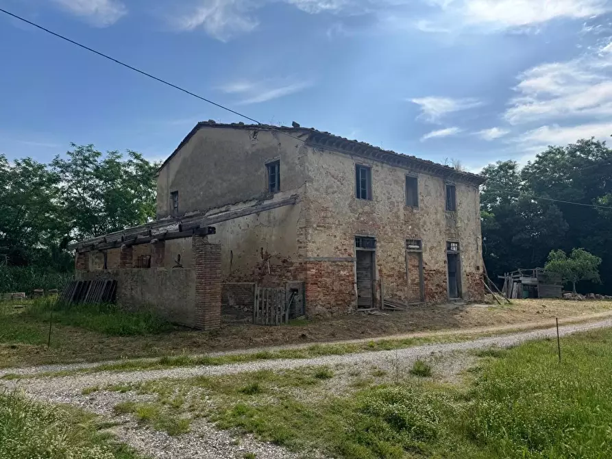 Immagine 13 di Rustico / casale in vendita  a Fauglia