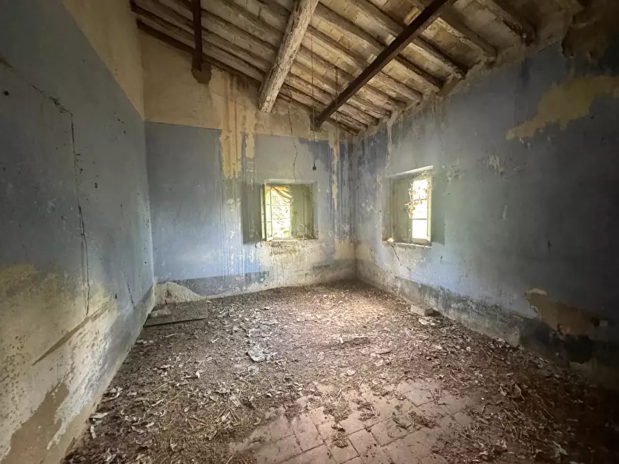 Immagine 16 di Rustico / casale in vendita  a Fauglia
