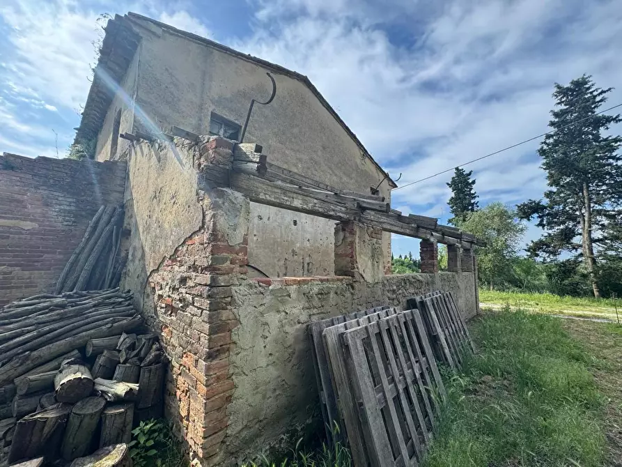 Immagine 10 di Rustico / casale in vendita  a Fauglia