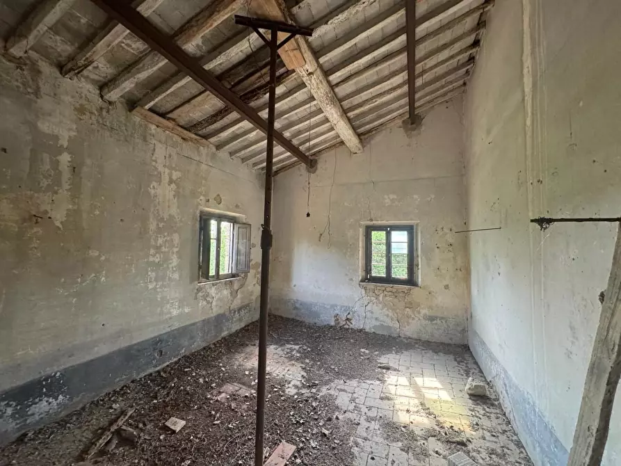 Immagine 24 di Rustico / casale in vendita  a Fauglia