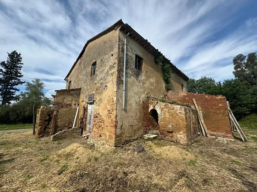 Immagine 6 di Rustico / casale in vendita  a Fauglia