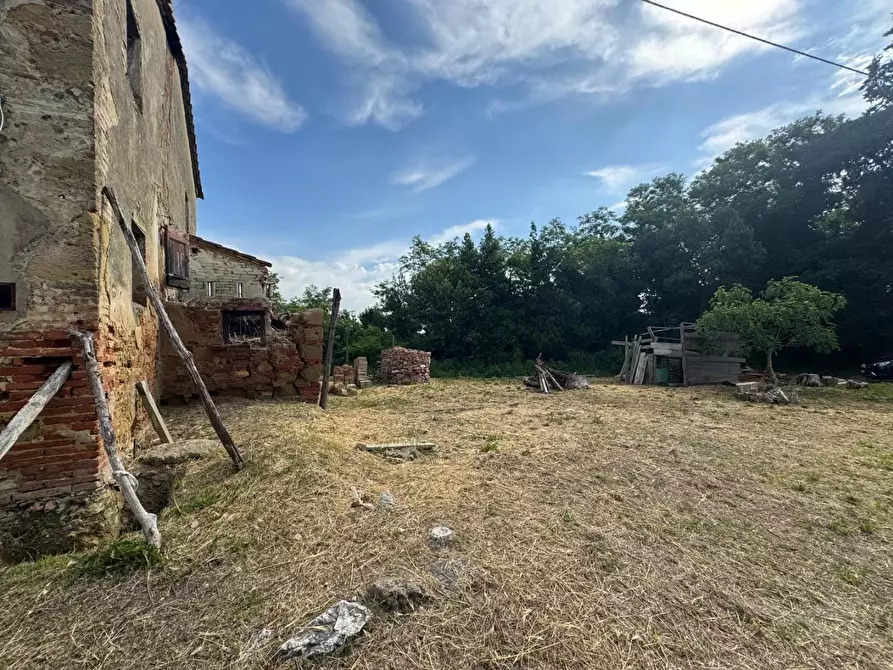 Immagine 7 di Rustico / casale in vendita  a Fauglia