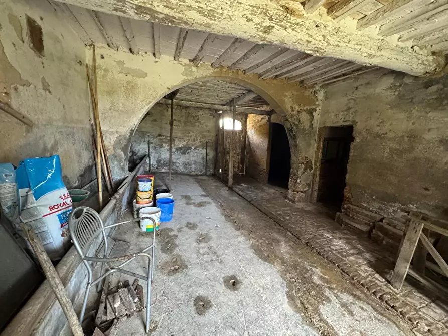 Immagine 19 di Rustico / casale in vendita  a Fauglia