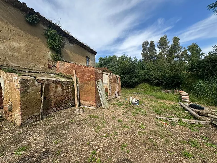 Immagine 8 di Rustico / casale in vendita  a Fauglia