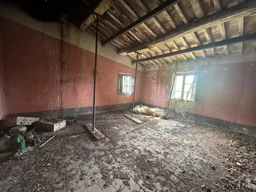 Immagine 17 di Rustico / casale in vendita  a Fauglia
