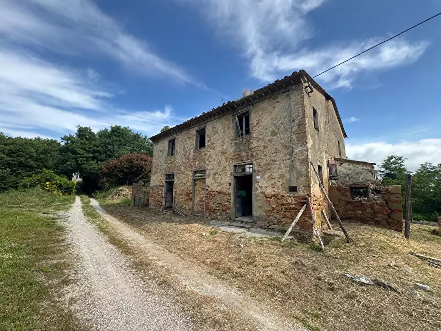 Immagine 9 di Rustico / casale in vendita  a Fauglia