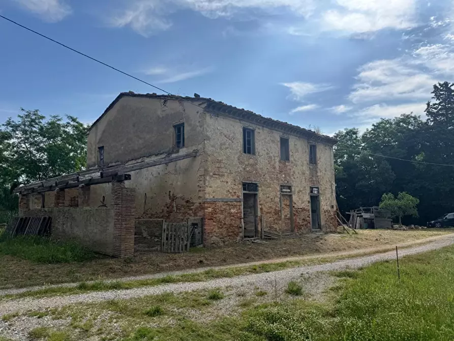 Immagine 2 di Rustico / casale in vendita  a Fauglia